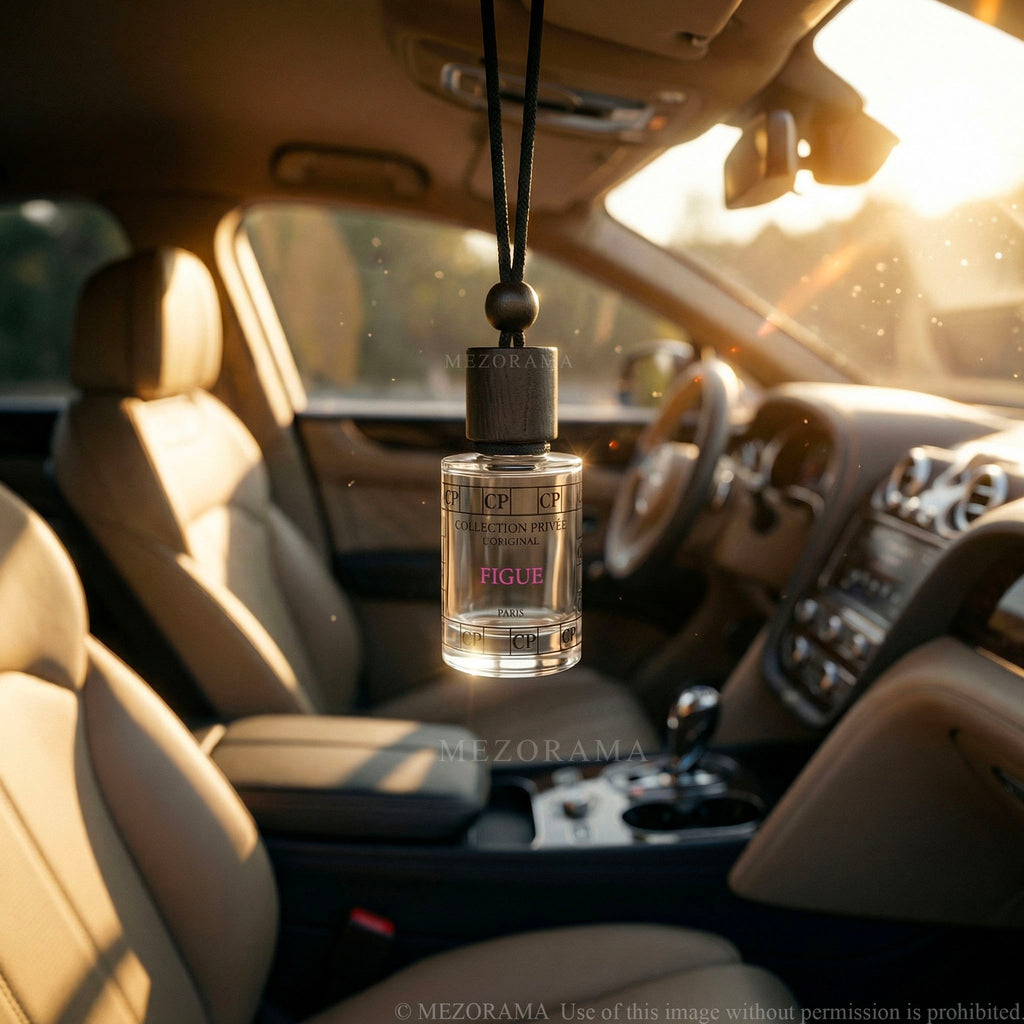 Profumo Auto, Profumo Fico, Diffusore Auto da Appendere, 10ml